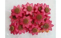 Echinacea (Coneflower) Decorations – 20 pcs