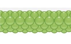 Lime Green Balloon Garland 3 m
