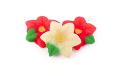 Vánoční hvězda červená bílá (40ks)