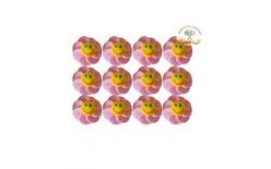 Pink Sunshine Sugar Decorations