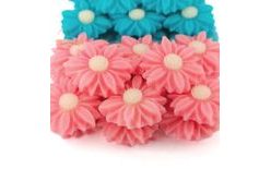 Sedmikrásky (20 ks) – ružové