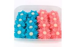 Colourful Daisies (40 pcs)