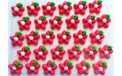 Cukrové ozdoby květy na platíčku 8