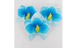 Orchidej modrý střed 10g