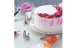 Wilton How To Decorate Cakes & Desserts Kit