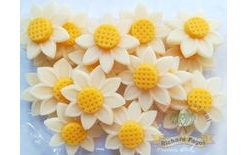Daisy Flowers 69g (20 pcs)
