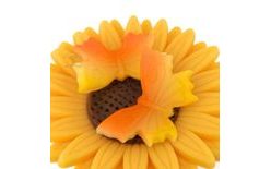 Modelovaný motýlik veľký – žltooranžový striekaný