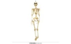KOSTRA - kostlivec na zavesenie 90 cm - Halloween