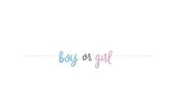 "Boy or Girl" Garland - "Kluk nebo Holka", 213cm