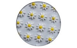 Sugar decoration - Aster 35 pc. white