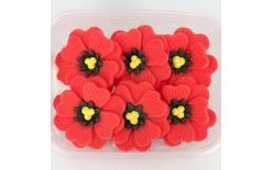 Vlčí mak – jedlé kvety 6 ks