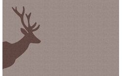Prestieranie Deer - Jeleň