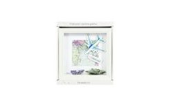 2-in-1 Money Frame - Wedding