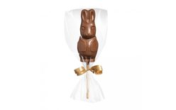 Chocolate lollipop / bunny plug