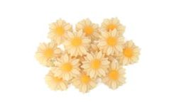 Daisies (20 pcs)