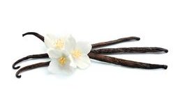 Vanilla thickener 1 kg