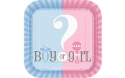 Talíře Gender reveal "Girl or Boy" - "Holka nebo kluk" 17 cm, 8 ks
