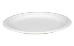 Round Plate BIO Sugarcane - 50 pcs - 22 cm