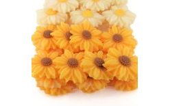 Daisies (20 pcs) – Sunflowers