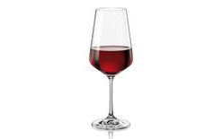 Wine glasses SANDRA 0,35 l - 6 pcs