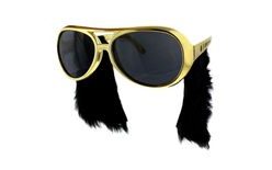 Elvis Presley Style Party Glasses with Sideburns - Rock and Roll