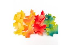 Modelled Butterflies – Large Sprayed