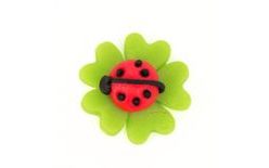 Edible Figure 1 – Ladybird on a Four-Leaf Clover