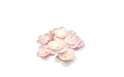 Rózsaszín kamélia – ostyadísz