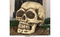 Mega Skull Decoration - Halloween - 32 cm