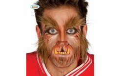 Werewolf Eyebrows and Beard