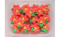 Vianočná hviezda (40 ks)