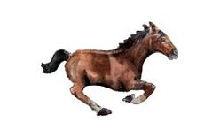 Ló léggömb 101 cm x 63 cm Amscan