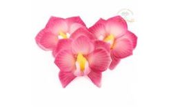 Orchidea s ružovým okrajom 10 g