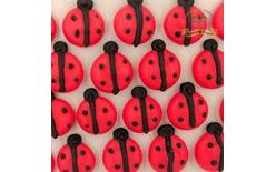 Cukrové dekorácie – drobné lienky