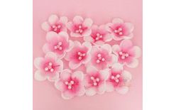 Rózsaszín almavirágok 12 db (36 g)