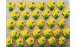 Cukrové ozdoby kvety na platíčku 2 (30 ks)