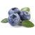 Blueberry filling with piece fruit Mella Filling Ireks - 3 kg