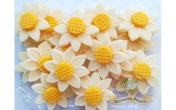 DAISY FLOWERS 69G (20 PCS)