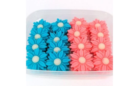 COLOURFUL DAISIES (40 PCS)