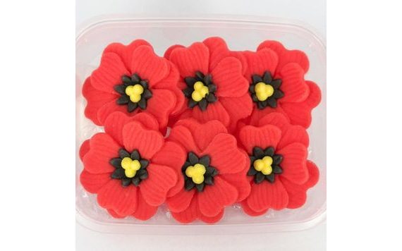 VLČÍ MAK – JEDLÉ KVETY 6 KS