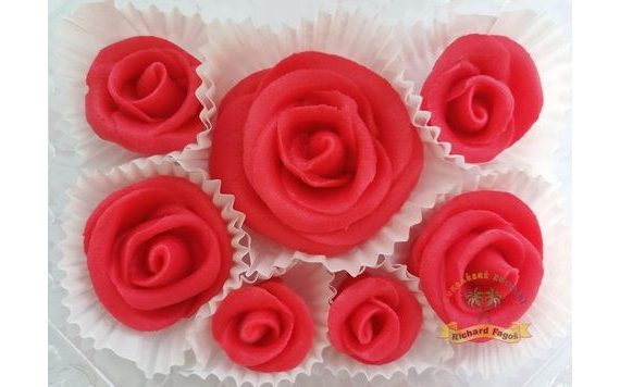 DORTOVÁ SADA RŮŽÍ - ČERVENÉ ČERVENÉ