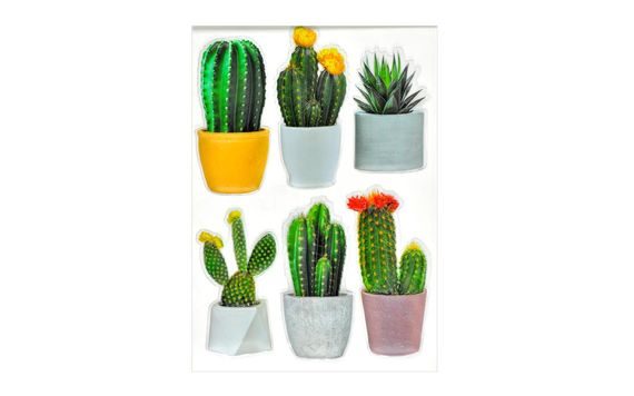 WALL STICKERS - 3D CACTI - 29 X 49 CM