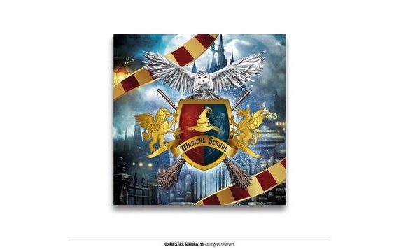 HARRY POTTER THEMED PAPER NAPKINS - 33 X 33 CM - 12 PCS