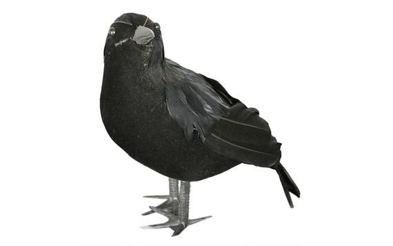 DECORATION - CROW FIGURINE 25 CM