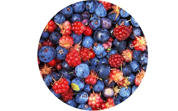 FOREST FRUIT FLAVOURING PASTE - 200 G