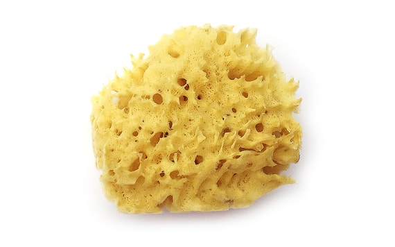 HOUBIČKA NA MALOVÁNÍ EASYCOVER SPONGE