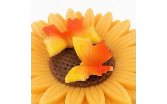 MODELOVANÝ MOTÝLIK MALÝ – ORANŽOVOŽLTÝ STRIEKANÝ