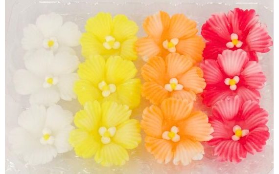 APPLE BLOSSOM FLOWERS 12PCS (36G) (MIX) II