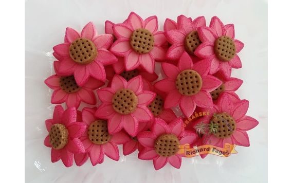 ECHINACEA (CONEFLOWER) DECORATIONS – 20 PCS