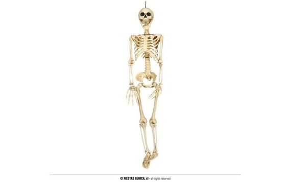 SKELETON - KOSTRA - KOSTLIVEC K ZAVĚŠENÍ 90 CM- HALLOWEEN